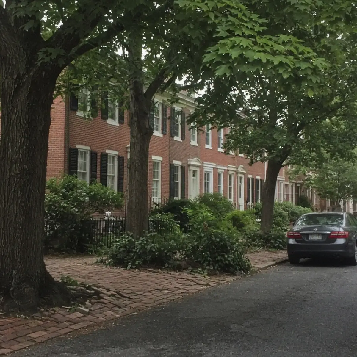 Street of older brick homes in Annapolis with mature trees